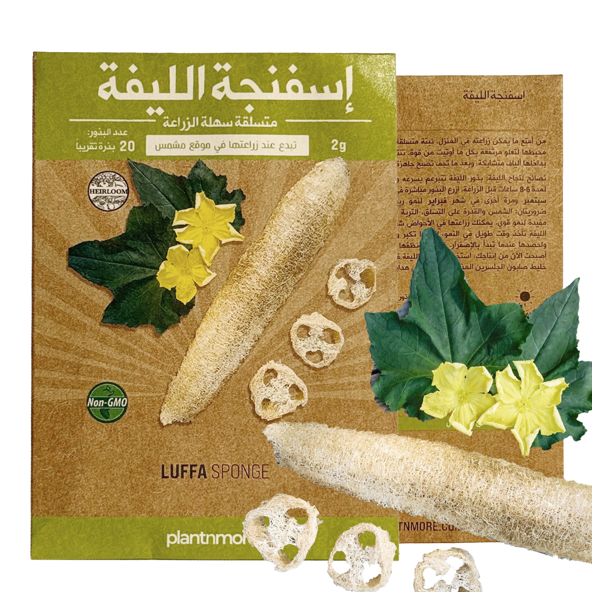Luffa Sponge – plantnmore