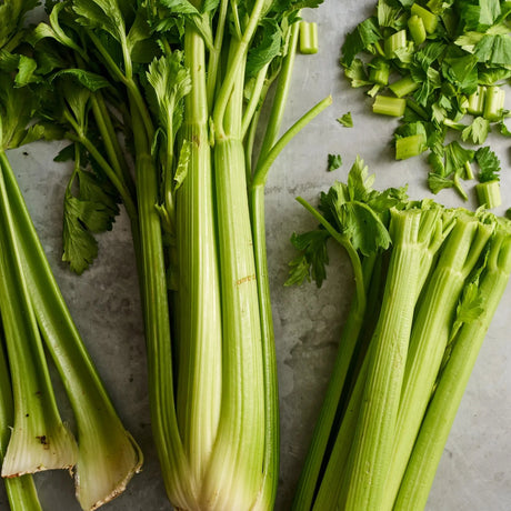 Green Celery Bunch