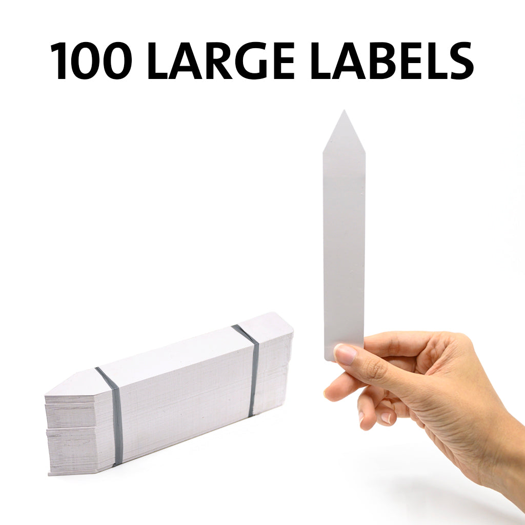 Large Labels 100 pc