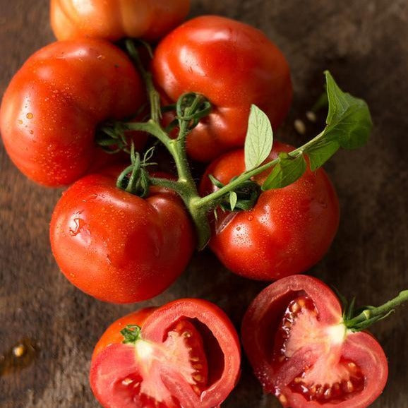 Tomato Early Girl Hybrid • طماط ينضج مبكرا - plantnmore