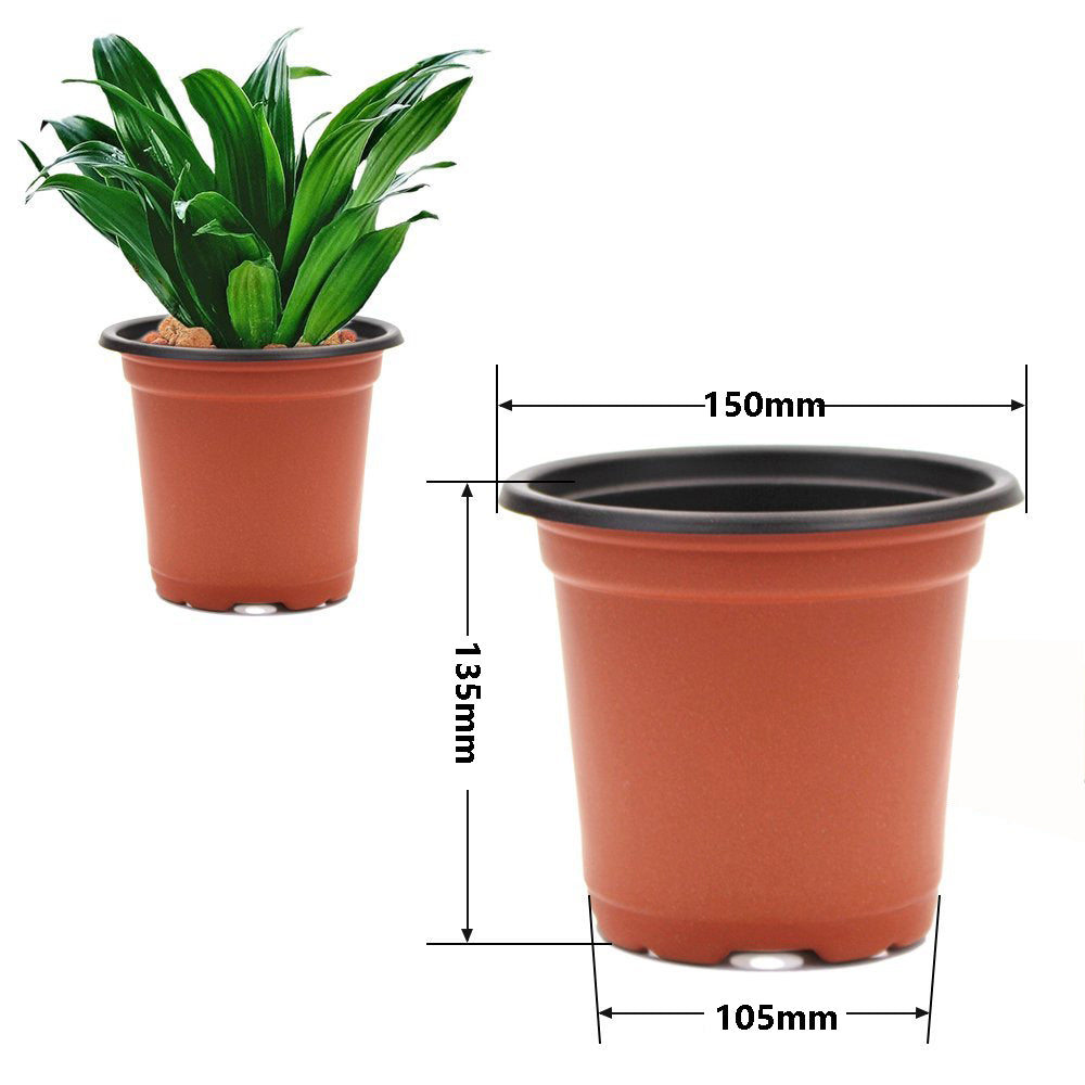 Transplanting Pot Medium 12pc• احواض تشتيل وسط ١٢حبة - plantnmore