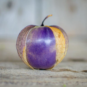 Tomatillo Purple