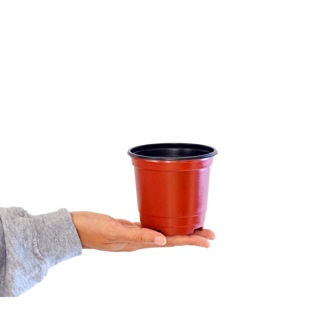 Transplanting Pot Small 12pc• احواض تشتيل صغيرة ١٢حبة - plantnmore
