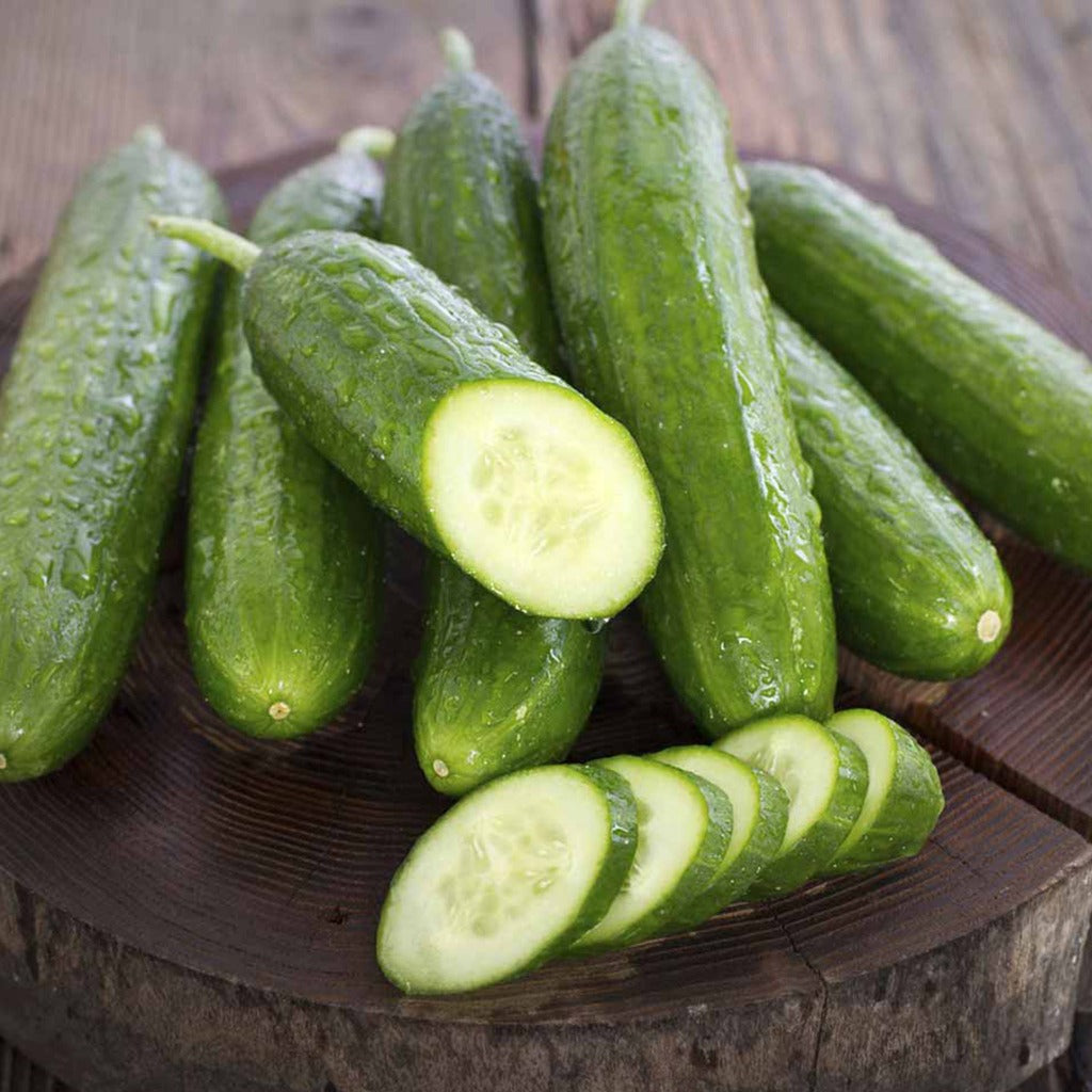 Cucumber Beit Alpha • خيار لبناني - plantnmore