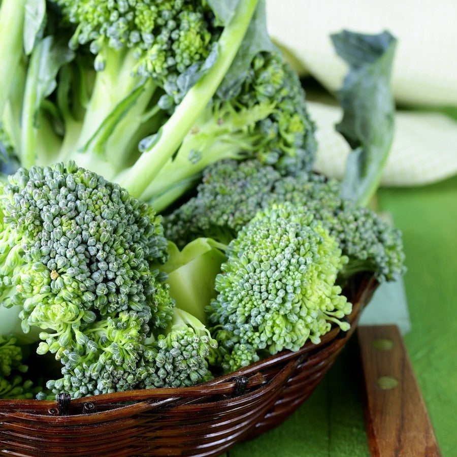 Broccoli Di Cicco • بروكلي دي كيجيو - plantnmore