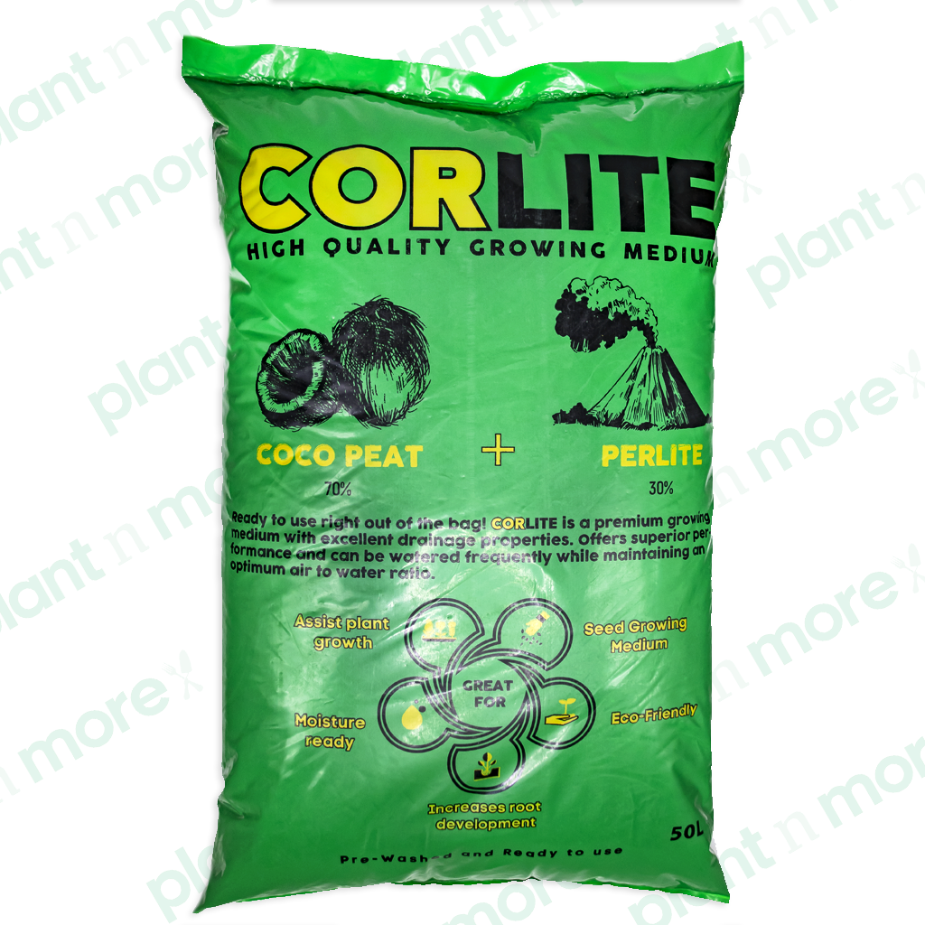Corlite  ● كورلايت - plantnmore