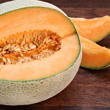 Melon Hale's Best Plant