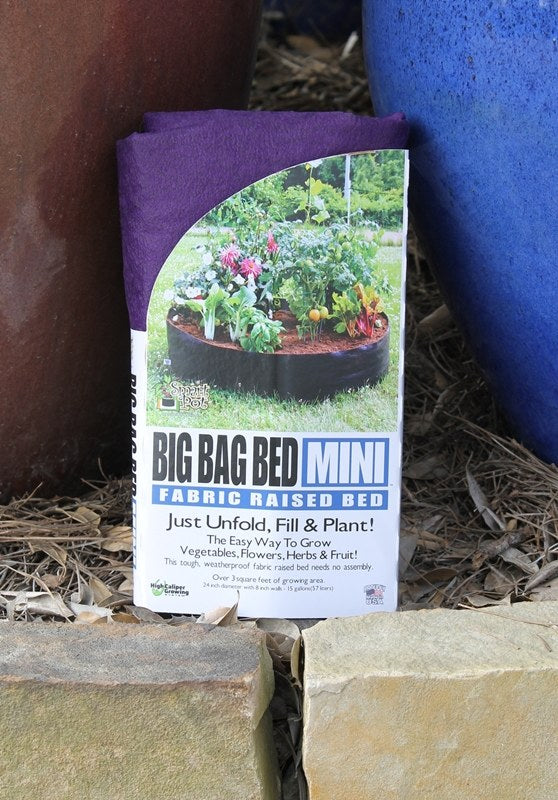 Purple Big Bag Bed Mini ●  ريزد بد حجم ميني - plantnmore