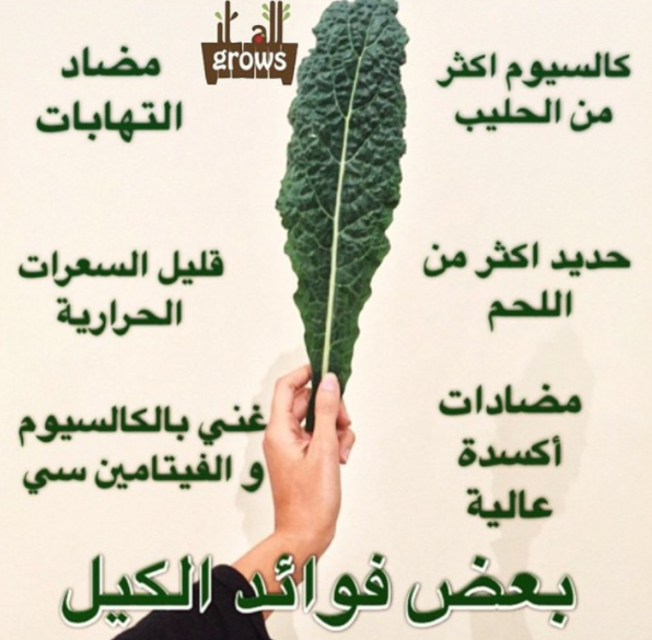 فوائد الكيل