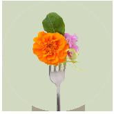 Edible Flowers