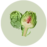 Artichoke