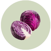 Cabbage
