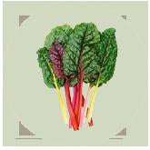 Swiss Chard
