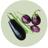 Eggplant