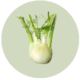 Fennel