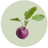 Kohlrabi