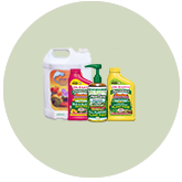 Liquid Fertilizers