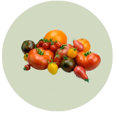 Tomatoes