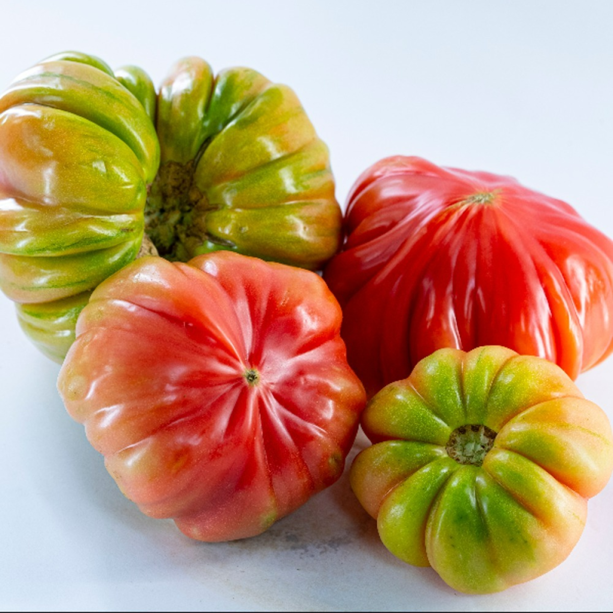 Tomato Lebanese Jabali Plant
