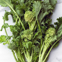 Broccolini Raab Rapini