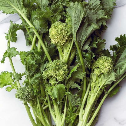 Broccolini Raab Rapini