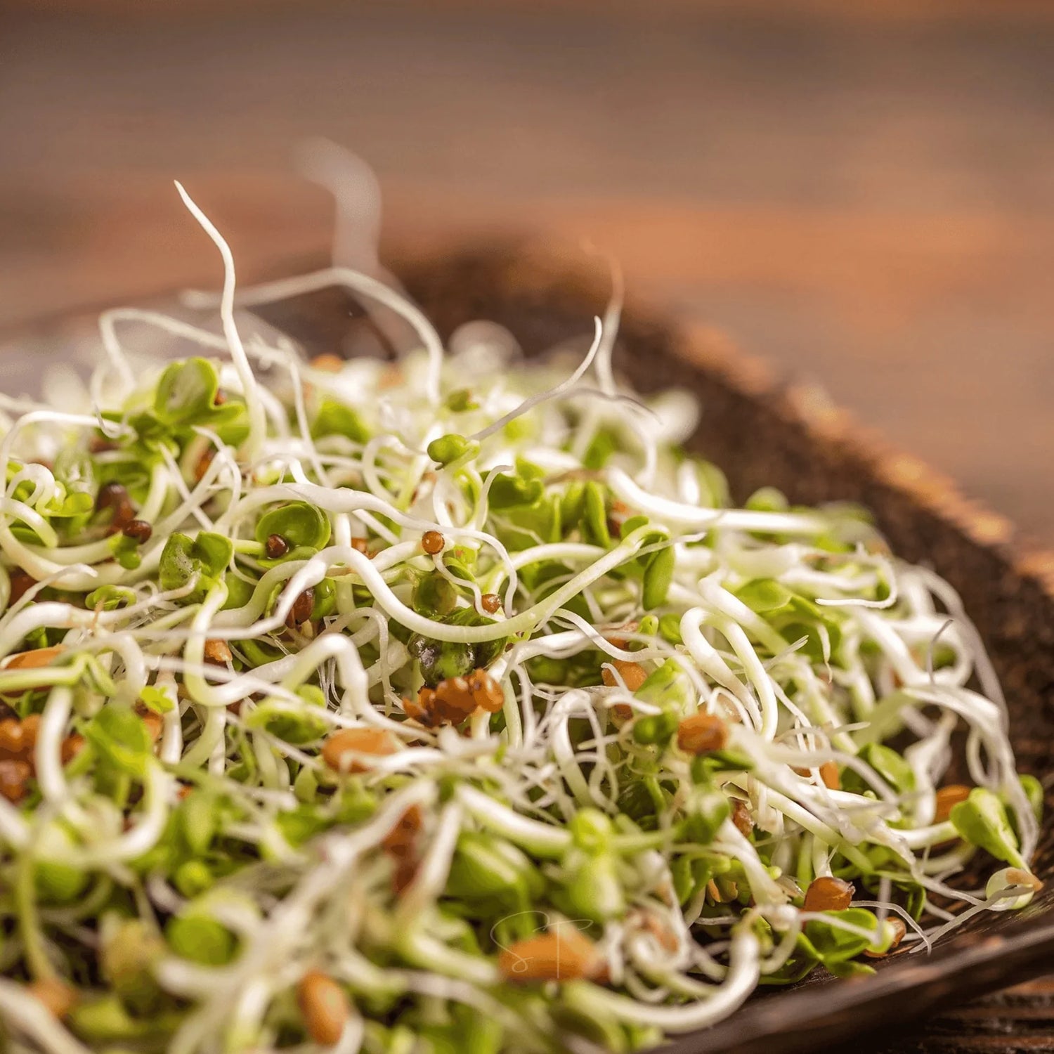 5 Part Salad Mix Seeds 110g