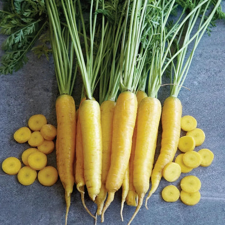 Yellow Carrots