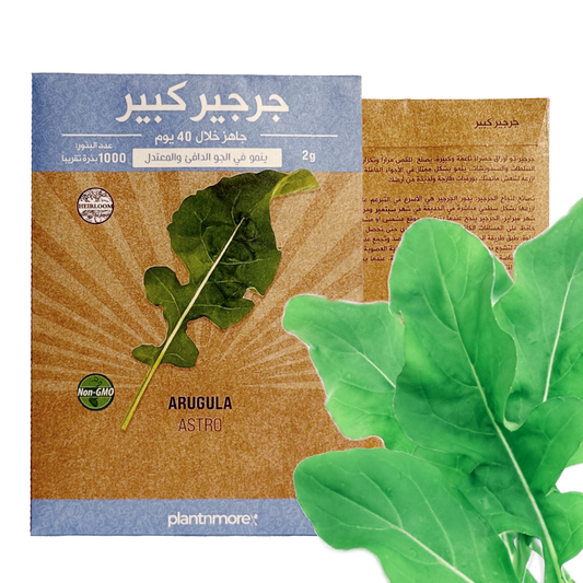 Arugula Astro