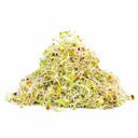 5 Part Salad Mix Seeds 110g