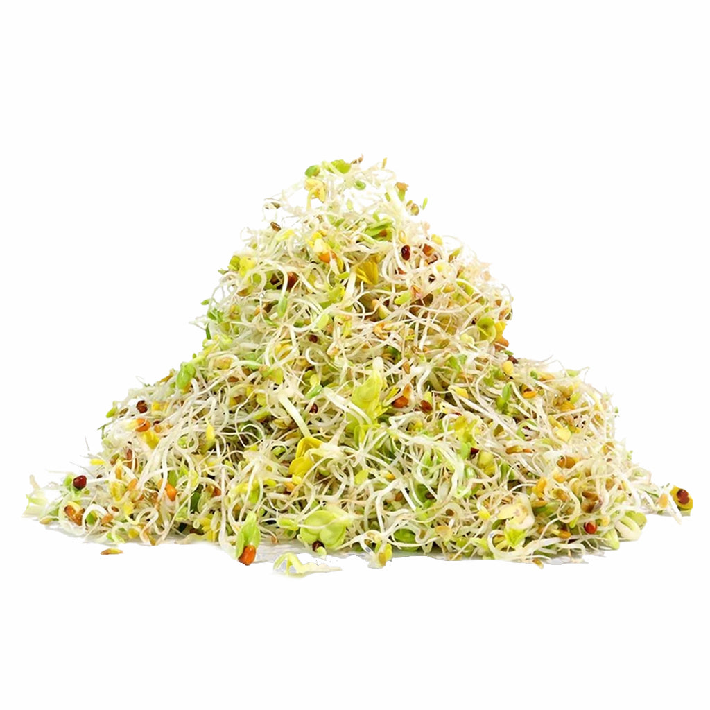 5 Part Salad Mix Seeds 110g