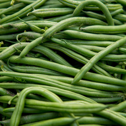 Bean Blue Lake Pole