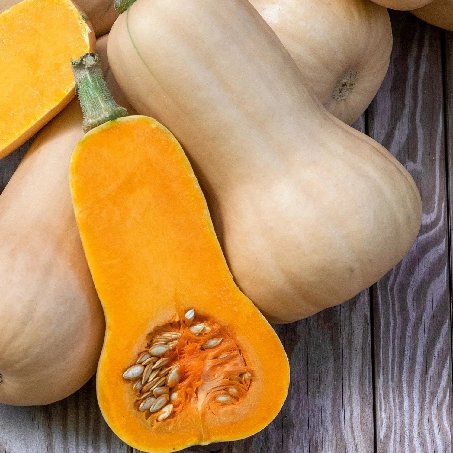 Squash Waltham Butternut