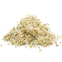 Alfalfa Sprouting Seeds 110g