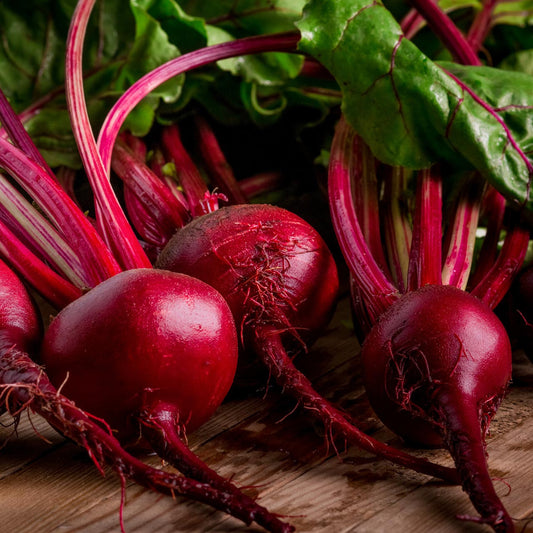 Beetroot Detroit Dark Red