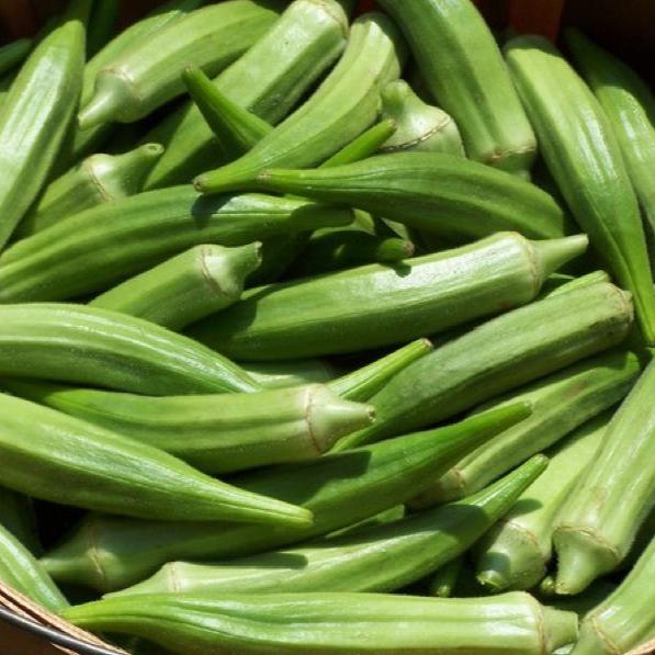 Okra Clemson Spineless
