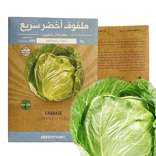 Cabbage Green Express