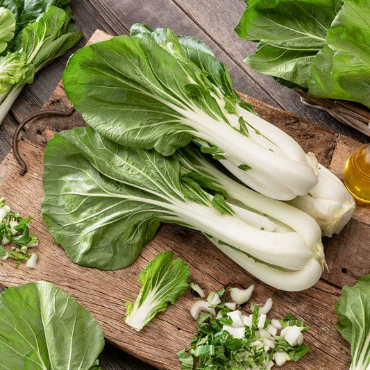 Cabbage Pak Choi White Stem