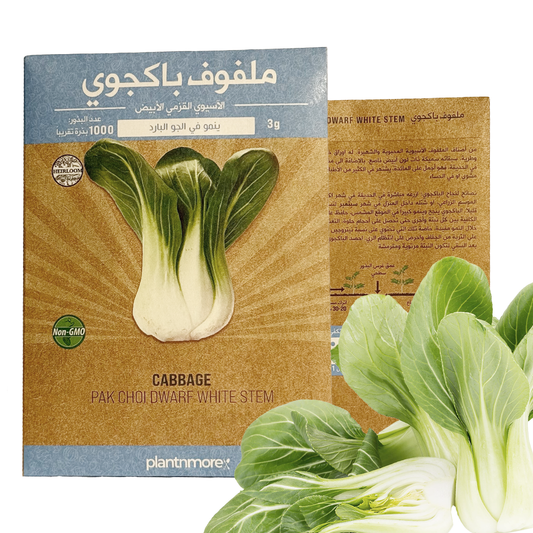 Cabbage Pak Choi White Stem