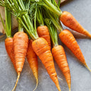 Carrot Danvers