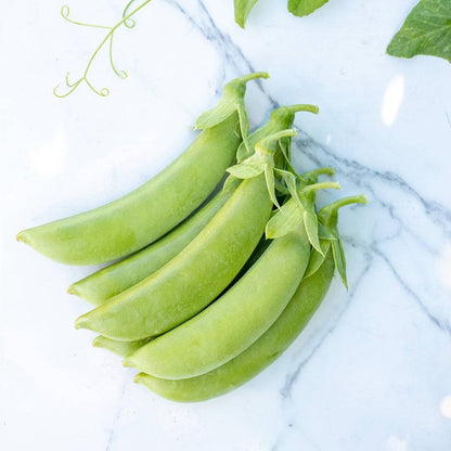 Pea Snap Cascadia