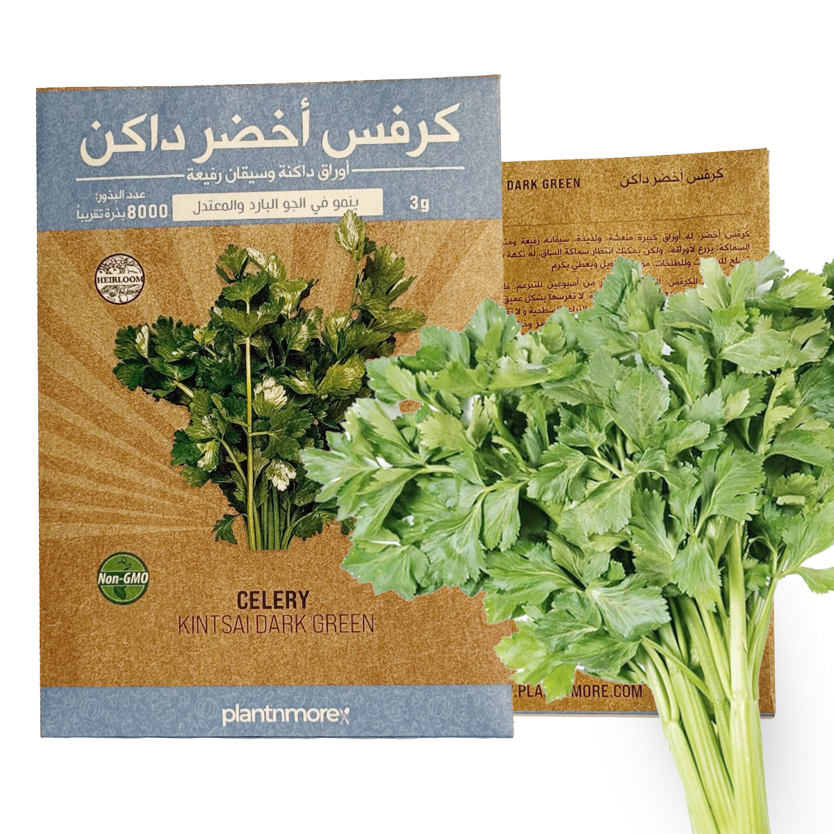 كرفس أخضر داكن