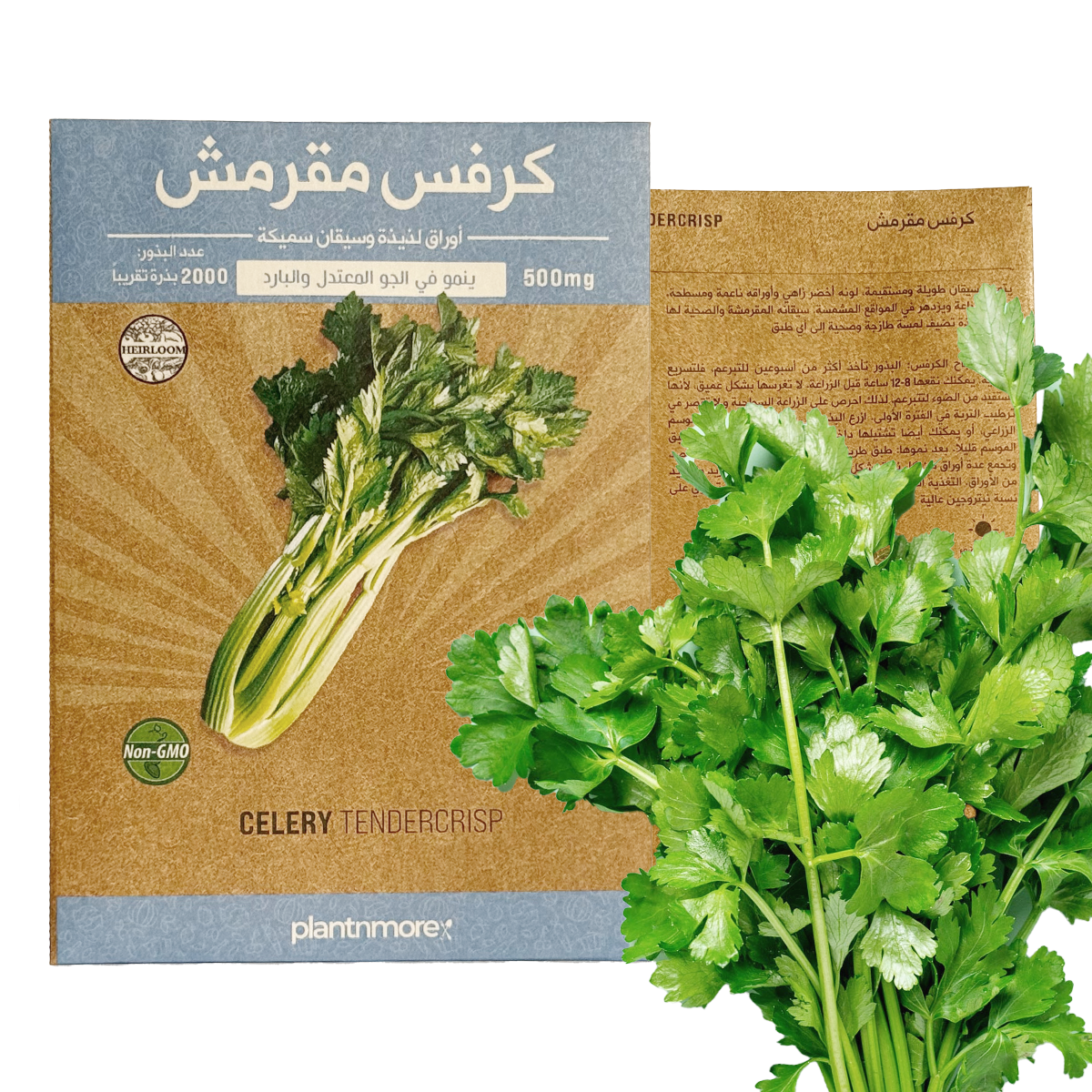 كرفس مقرمش