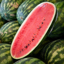 Watermelon Congo