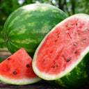 Watermelon Crimson Sweet