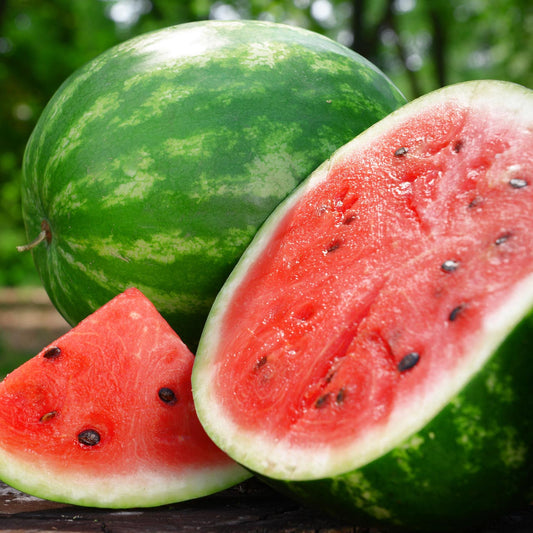 Watermelon Crimson Sweet