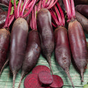 Beetroot Cylindra
