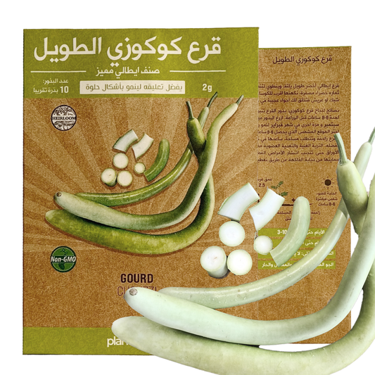 Gourd Cucuzzi