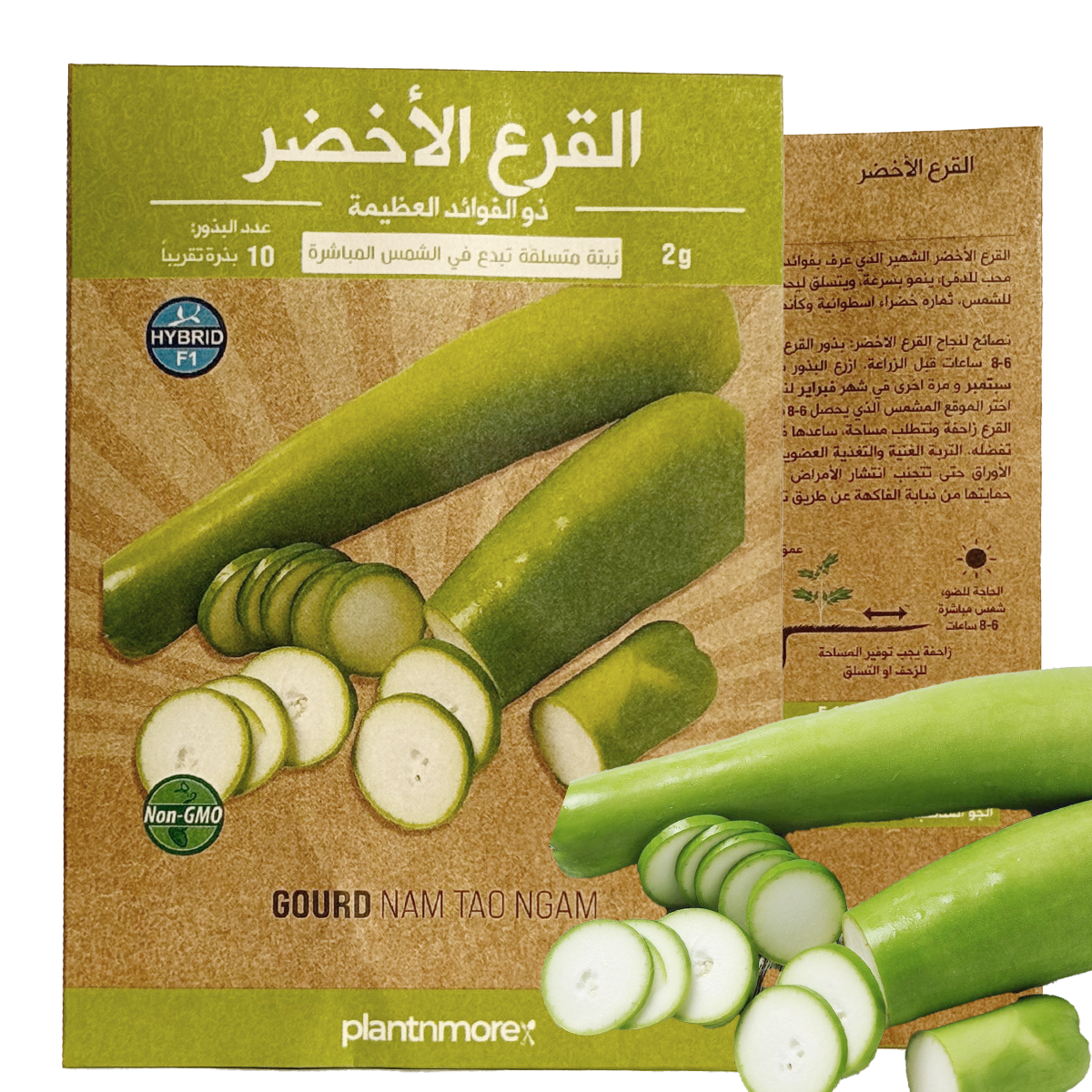 القرع الأخضر