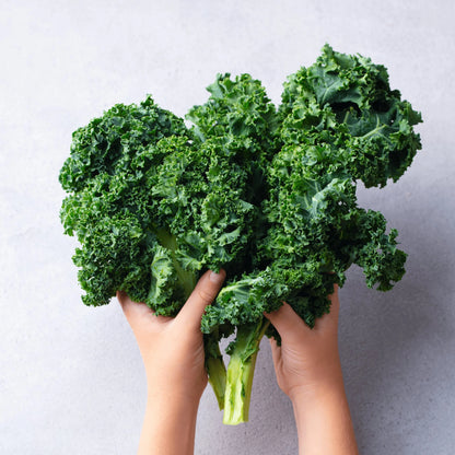 Kale Vates Blue Scotch Curled