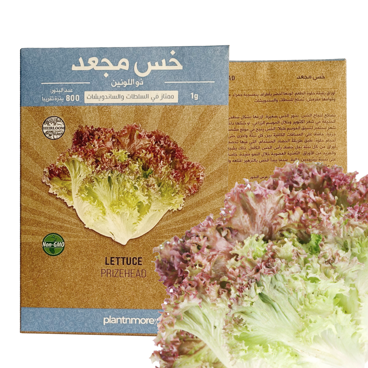 Lettuce Prizehead